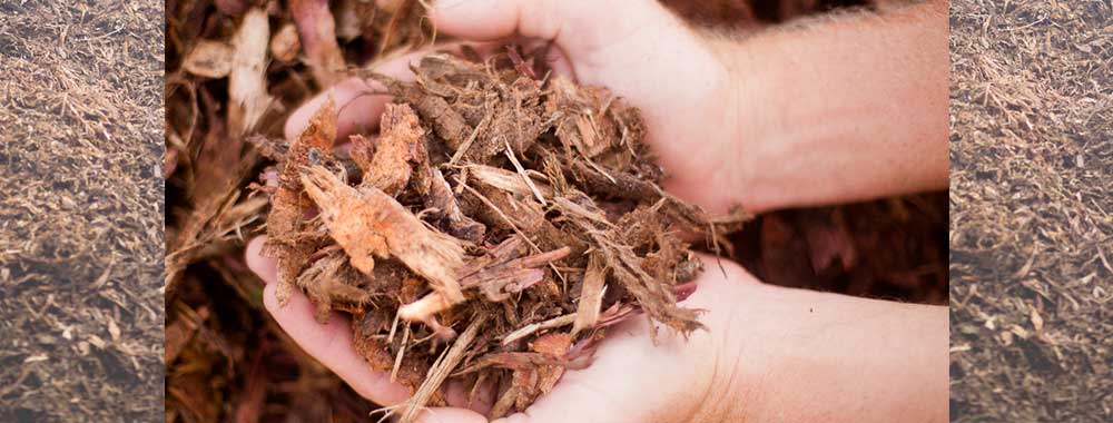 Descape Bark Supplies - Mulch for your Gardens
